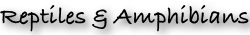 shapeimage_3_link_0