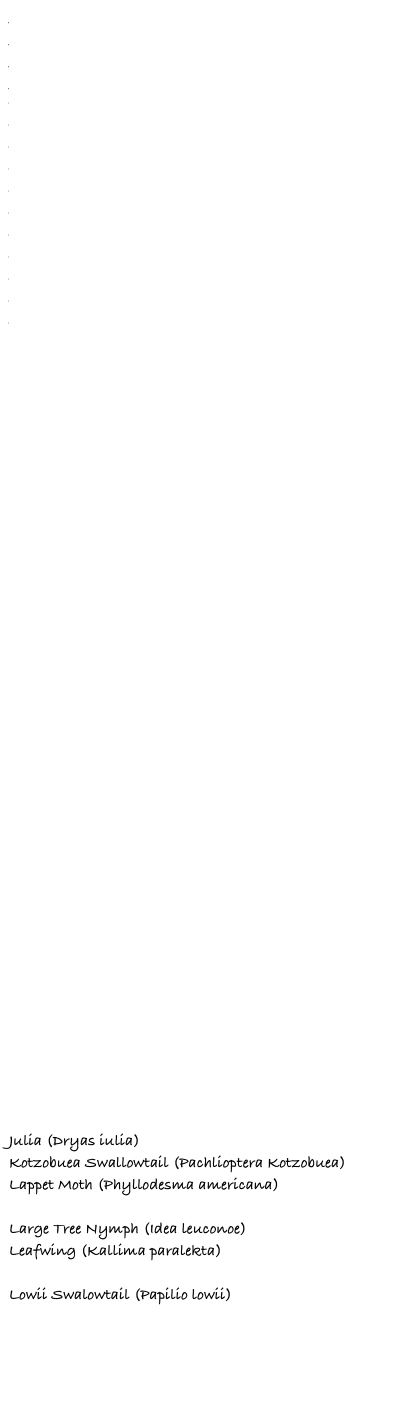 American Painted Lady (Vanessa virginiensis)
Androgeus Swallowtail (Papilio androgeus epidaurus)
Aphrodite Fritillary (Speyeria aphrodite aphrodite)
Atlas Moth (Attacus atlas)
Baltimore Checkerspot (Euphydryas phaeton)
Band-Celled Sister (Adelpha fessonia)
Banded Hairstreak (Satyrium calanus)
Banded Orange (Dryadula phaetusa)
Banded Peacock (Papilio palinurus)
Belus Swallowtail (Battus belus)
Blinded Sphinx (Paonias exaecatus)
Blue & White Longwing (Heliconius cydno galanthus)
Blue Morpho (Morpho peleides)
Bronze Copper (Lycaena hyllus)
Buckeye (Junonia coenia coenia)
Cabbage White (Pieris rapae)
Cairns Birdwing (Ornithoptera priamus)
Carolina Sphinx Moth (Manduca sexta)
Cattleheart (Parides iphidamas)
Cecropia Moth (Hyalophora cecropia)
Cincta Rothschildia (Rothschildia cincta)
Clearwing (Greta oto)
Cleft-Headed Looper (Biston betularia)
Clipper (Parthenos sylvia)
Clouded Sulphur (Colias philodice philodice)
Common Mormon (Papilio polytes)
Common / Club-Tailed Rose (Pachlioptera kotzebuea)
Common Ringlet (Coenonympha tullia inornata)
Common Wood Nymph  (Cercyonis pegala nephele)
Coral Hairstreak (Satyrium titus)
Cracker Butterfly (Hamadryas februa)
Crimson-Banded Black (Biblis hyperia)
Dark Owl (Caligo brasilliensis sulanus)
Doris Longwing (Heliconius doris)
Eastern Black Swallowtail (Papilio polyxenes)
Eastern Comma (Polygonia comma)
Eastern Tailed Blue (Everes comyntas)
Eight Spotted Forester (Alypia octomaculata)
Erostratus Swallowtail (Papilio erostratus)
Ghost Brimestone (Anteos chlorinde)
Giant Swallowtail (Heraclides cresphontes)
Great Eggfly (Hypolimnas bolina)
Great Mormon  (Papilio memnon)
Great Orange Tip (Hebomoia glaucippe)
Great Southern White (Ascia monuste)
Great Spangled Fritillary (Speyeria cybele)
Gulf Fritillary (Agraulis vanillae)
Harmonia Tigerwing (Tithorea harmonia helicaon)
Harris’s Checkerspot (Chlosyne harrisii harrisii) 
Hercules Moth (Coscinocera hercules)
Hummingbird Clearwing Moth (Hemaris thysbe)
Julia (Dryas iulia)
Kotzobuea Swallowtail (Pachlioptera Kotzobuea)
Lappet Moth (Phyllodesma americana)
Large Orange Sulphur (Phoebis agarithe)
Large Tree Nymph (Idea leuconoe)
Leafwing (Kallima paralekta)
Little Wood Satyr (Megisto cymela cymela)
Lowii Swalowtail (Papilio lowii)
Luna Moth (Actias luna)
Magnificent Swallowtail (Papilio garamas)